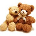 Peluche oso